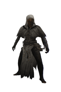 Descrier Guide Set