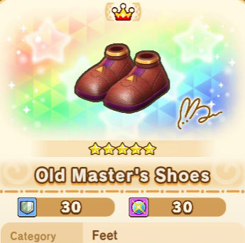 Old Master's Shoes