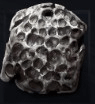 Armor Shard x99
