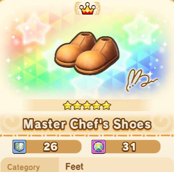 Master Chef's Shoes